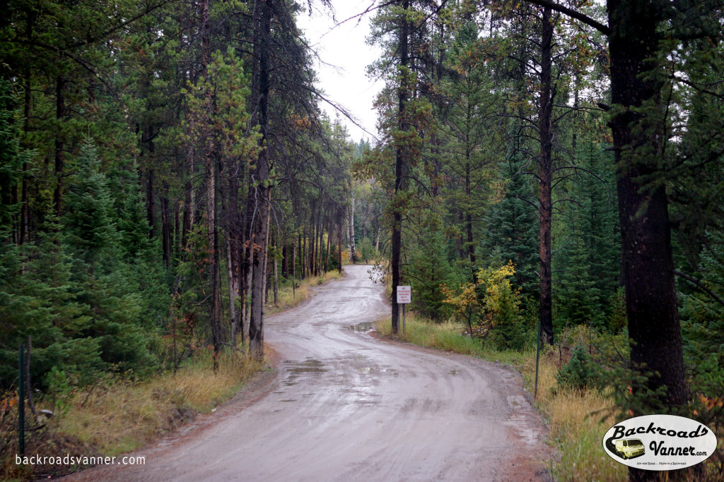 Moose-Wilson Road in Grand Teton National Park | Photo by BackroadsVanner.com